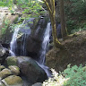 Meet your Posher, Dav'n